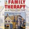 Basic Concepts in Family Therapy: An Introductory Text, Second Edition eBook