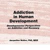 Addiction in Human Development: Developmental Perspectives on Addiction and Recovery eBook