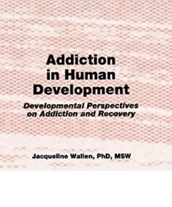 Addiction in Human Development: Developmental Perspectives on Addiction and Recovery eBook