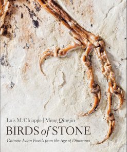 Birds of Stone: Chinese Avian Fossils from the Age of Dinosaurs eBook