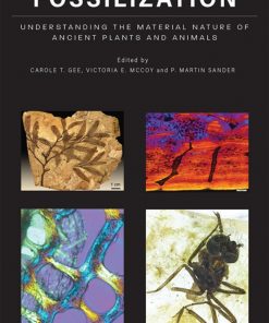 Fossilization: Understanding the Material Nature of Ancient Plants and Animals eBook