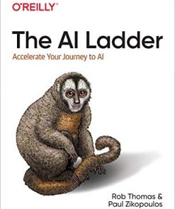 The AI Ladder: Accelerate Your Journey to AI eBook
