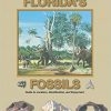 Understanding Minerals & Crystals eBook