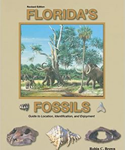 Understanding Minerals & Crystals eBook