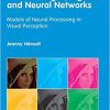 Vision: Images, Signals and Neural Networks eBook