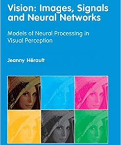Vision: Images, Signals and Neural Networks eBook