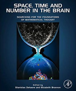 Space, Time and Number in the Brain: Searching for the Foundations of Mathematical Thought eBook