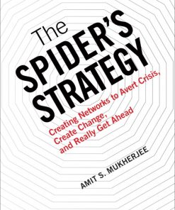 Spider's Strategy, The Creating Networks to Avert Crisis, Create Change, and Really Get Ahead eBook