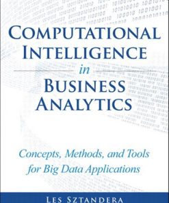 Computational Intelligence in Business Analytics: Concepts, Methods, and Tools for Big Data Applications eBook