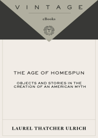 The Age of Homespun: Objects and Stories in the Creation of an American Myth eBook
