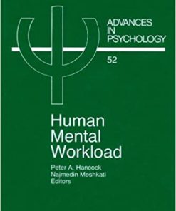 Human Mental Workload eBook