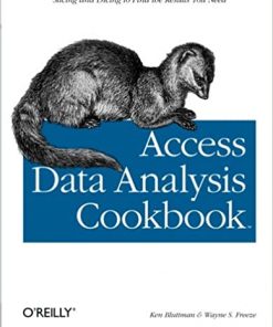 Access Data Analysis Cookbook: Slicing and Dicing to Find the Results You Need eBook