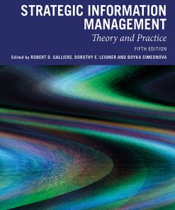 Strategic Information Management: Theory and Practice eBook