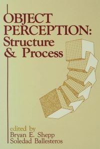 Object Perception: Structure and Process eBook