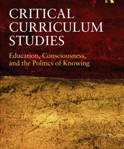 Critical Curriculum Studies: Education, Consciousness, and the Politics of Knowing eBook