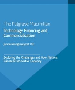 Technology Financing and Commercialization: Exploring the Challenges and How Nations Can Build Innovative Capacity eBook
