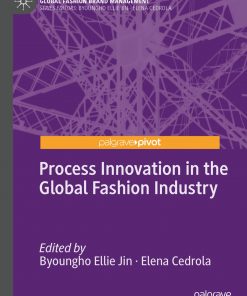 Process Innovation in the Global Fashion Industry eBook