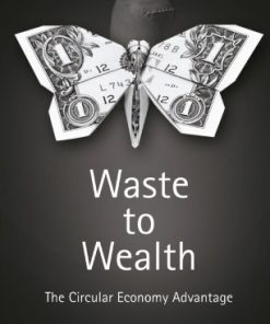 Waste to Wealth: The Circular Economy Advantage eBook