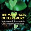 The Many Faces of Polyamory: Longing and Belonging in Concurrent Relationships eBook