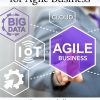 Big Data Strategies for Agile Business eBook