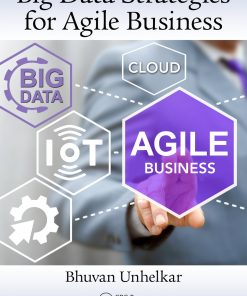 Big Data Strategies for Agile Business eBook