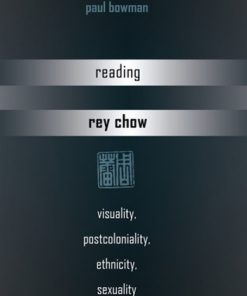 Reading Rey Chow: Visuality, Postcoloniality, Ethnicity, Sexuality eBook