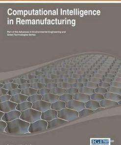 Computational Intelligence in Remanufacturing eBook