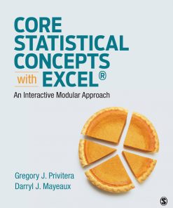 Core Statistical Concepts With Excel®: An Interactive Modular Approach eBook