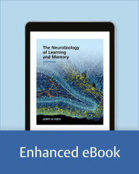The Neurobiology of Learning and Memory eBook
