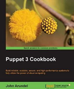 Puppet 3 Cookbook eBook