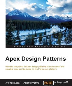 Apex Design Patterns eBook