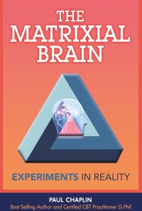 The Matrixial Brain: Experiments in Reality eBook