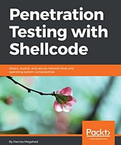 Penetration Testing with Shellcode: Detect, exploit, and secure network-level and operating system vulnerabilities eBook