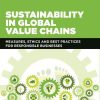 Sustainability in Global Value Chains: Measures, Ethics and Best Practices for Responsible Businesses eBook