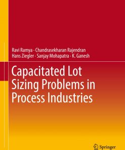 Capacitated Lot Sizing Problems in Process Industries eBook