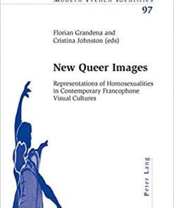 New Queer Images: Representations of Homosexualities in Contemporary Francophone Visual Cultures eBook