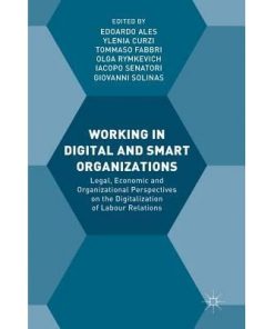 Working in Digital and Smart Organizations: Legal, Economic and Organizational Perspectives on the Digitalization of Labour Relations eBook