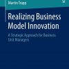 Realizing Business Model Innovation: A Strategic Approach for Business Unit Managers eBook