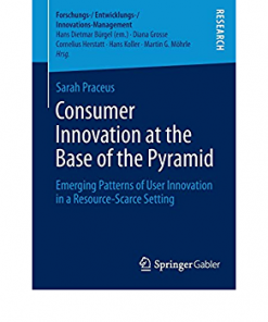 Consumer Innovation at the Base of the Pyramid: Emerging Patterns of User Innovation in a Resource-Scarce Setting eBook