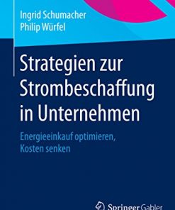 Strategien zur Strombeschaffung in Unternehmen: Energieeinkauf optimieren, Kosten senken eBook