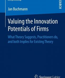 Valuing the Innovation Potentials of Firms: What Theory Suggests, Practitioners do, and both Implies for Existing Theory eBook