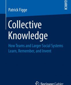 Collective Knowledge: How Teams and Larger Social Systems Learn, Remember, and Invent eBook