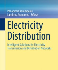 Electricity Distribution: Intelligent Solutions for Electricity Transmission and Distribution Networks eBook