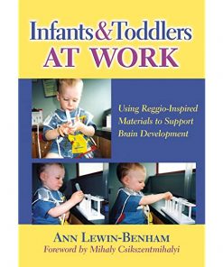Infants and Toddlers at Work: Using Reggio-Inspired Materials to Support Brain Development eBook