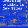 Learning to Labor in New Times eBook