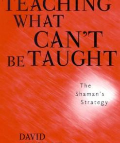 Teaching What Can't Be Taught: The Shaman's Strategy eBook