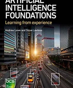 Artificial Intelligence Foundations: Learning from experience eBook