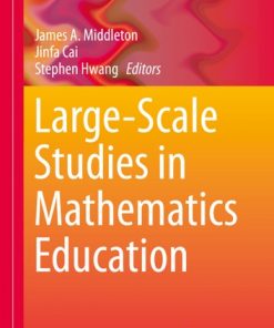 Large-Scale Studies in Mathematics Education eBook