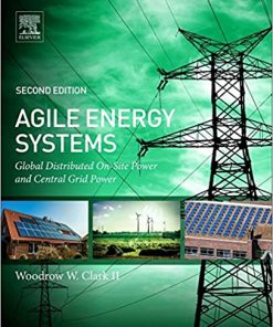 Agile Energy Systems: Global Distributed On-Site and Central Grid Power eBook