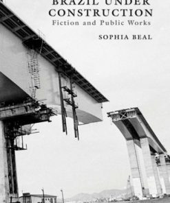 Brazil under Construction: Fiction and Public Works eBook